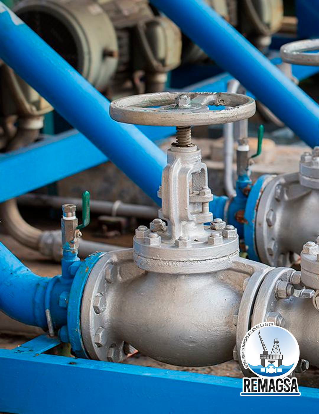 Efectos al pasar el cursor sobre la imagen